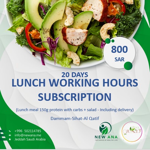 Lunch working hours subscription for 20 days 150g protein with carb and salad