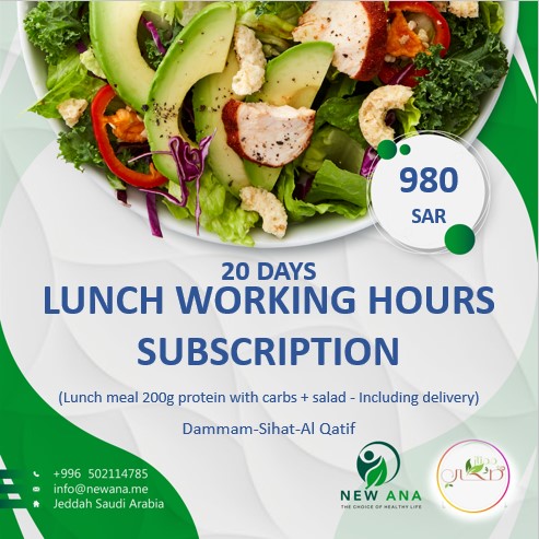 Lunch working hours subscription for 20 days 200g protein with carb and salad